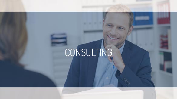 TEHAG Consulting