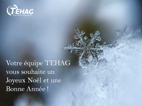 TEHAG vous souhaite Noël et Nouvel An 2018